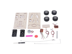 Kit De Coche Teledirigido Para Armar Con Motor Eléctrico, Juguete Educativo Stem De Madera Para Adolescentes.
