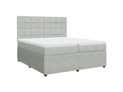 Maison Exclusive - Cama Box Spring Con Colchón Terciopelo Gris Claro 200x200 Cm