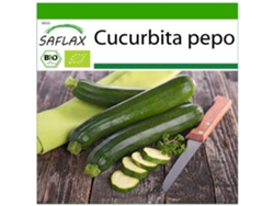 SAFLAX Ecológico Calabacín Milán Negro 6 semillas Con sustrato de cultivo libre de gérmenes Cucurbita pepo