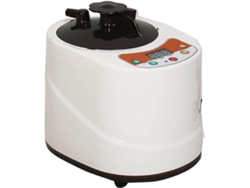 Calentador Eléctrico Para Sauna, Olla Portátil De 2 Litros Para Accesorios De Sauna De Vapor, Máquina Generadora De Fumigación.