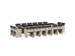 Maison Exclusive - Set Comedor Jardín Y Cojines 17 Pzas Ratán Sintético Gris Claro