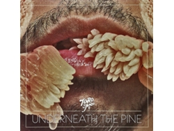 Vinilo Toro Y Moi - Underneath The Pine