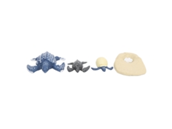 Modelo De Ciclo De Vida De Animais Marinhos Tartaruga Brinquedo Científico Infantil