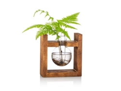 2026-vasija De Vidrio Con Base De Madera Para Plantas Y Flores Propagación Mini Terrario