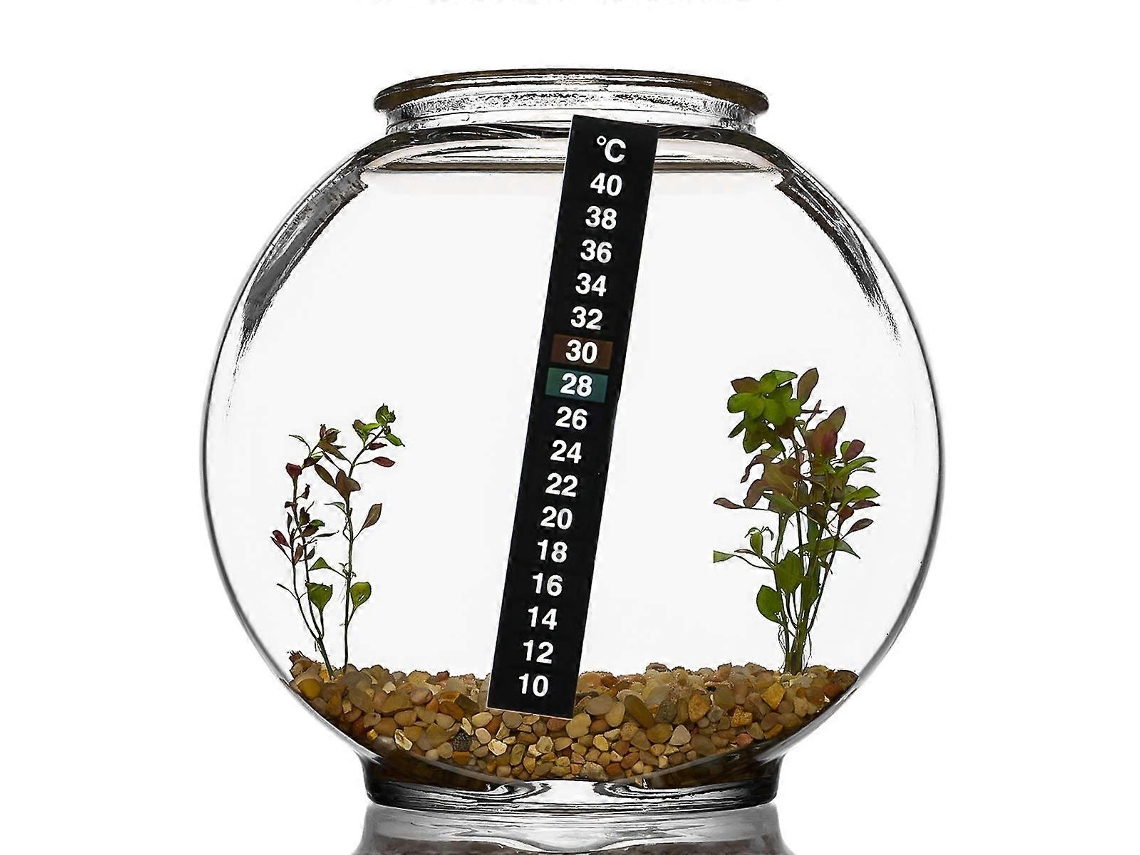 Termómetro para acuario, termómetro para peces, adhesivo digital para medir la temperatura. Ly Ebike