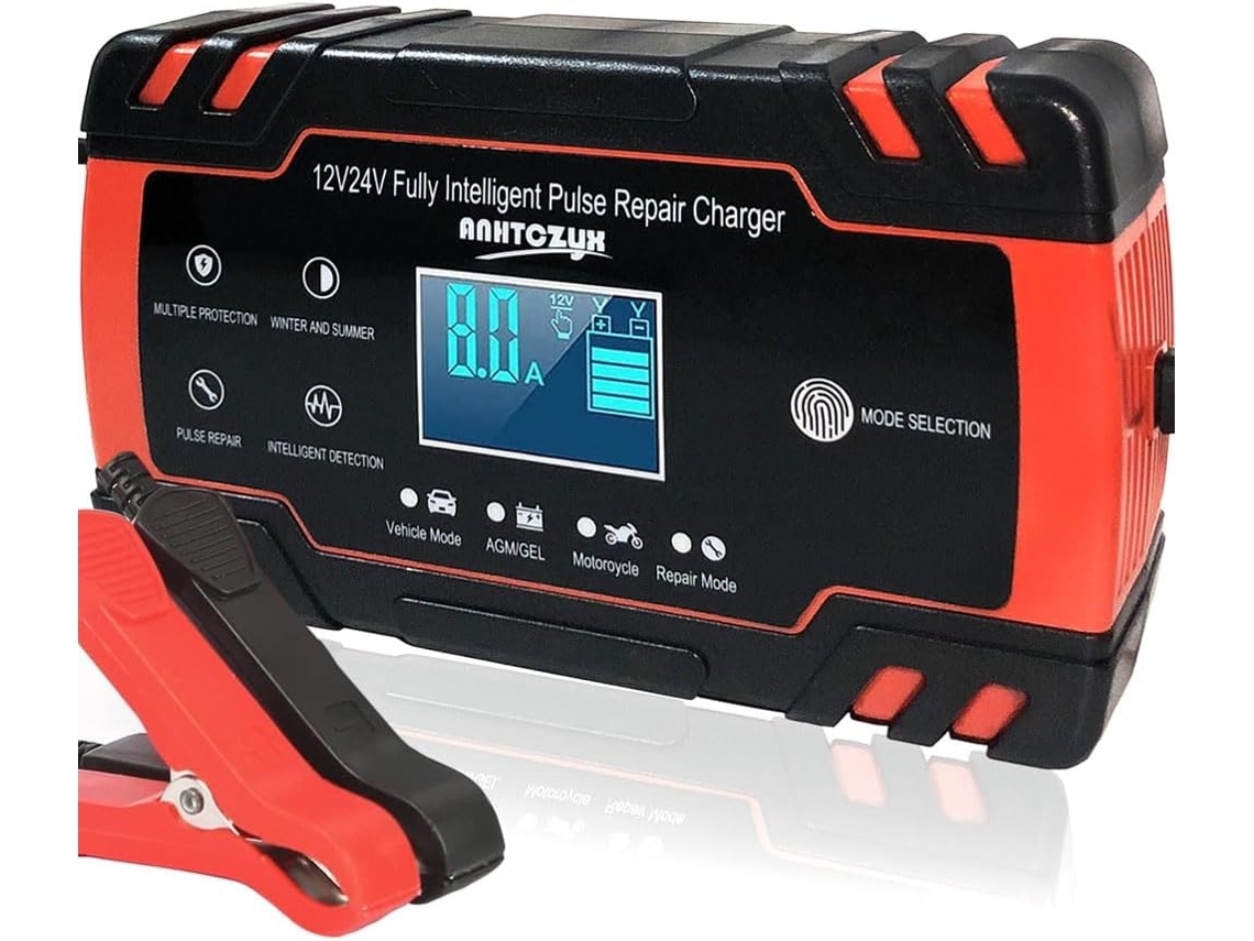 Cargador de batería para coche Halinuia de 12V/24V y 8A