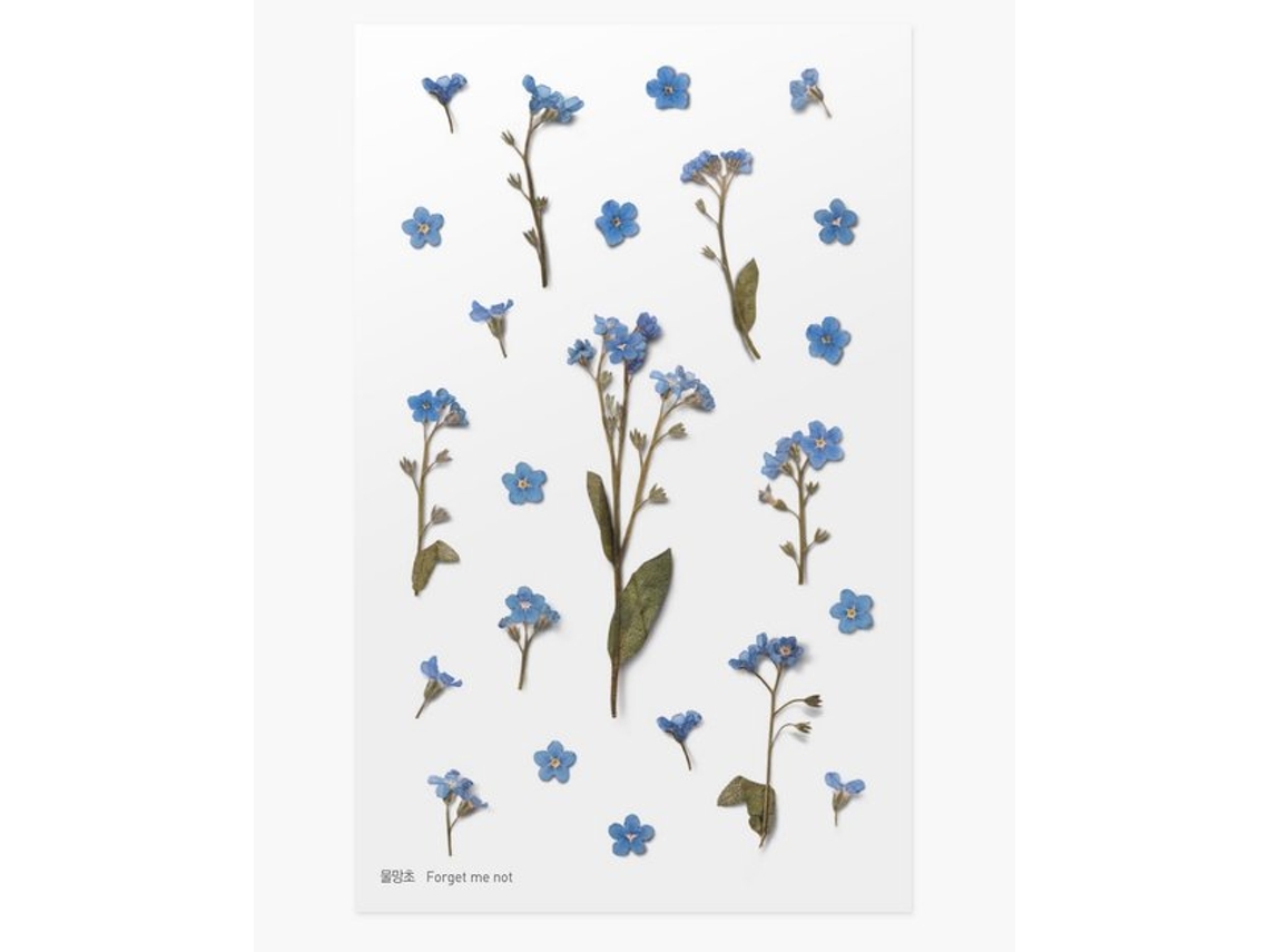 Pegatinas decorativas de flores de nomeolvides Appree