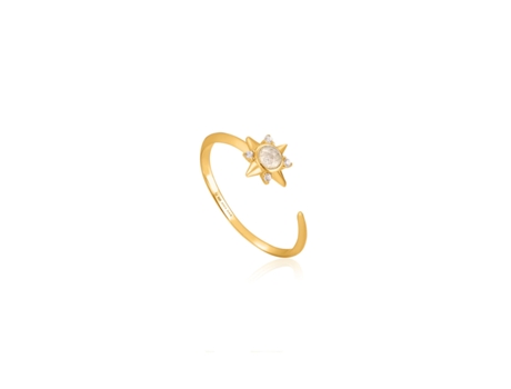 Anillo Mujer ANIA HAIE R026-03G (13)