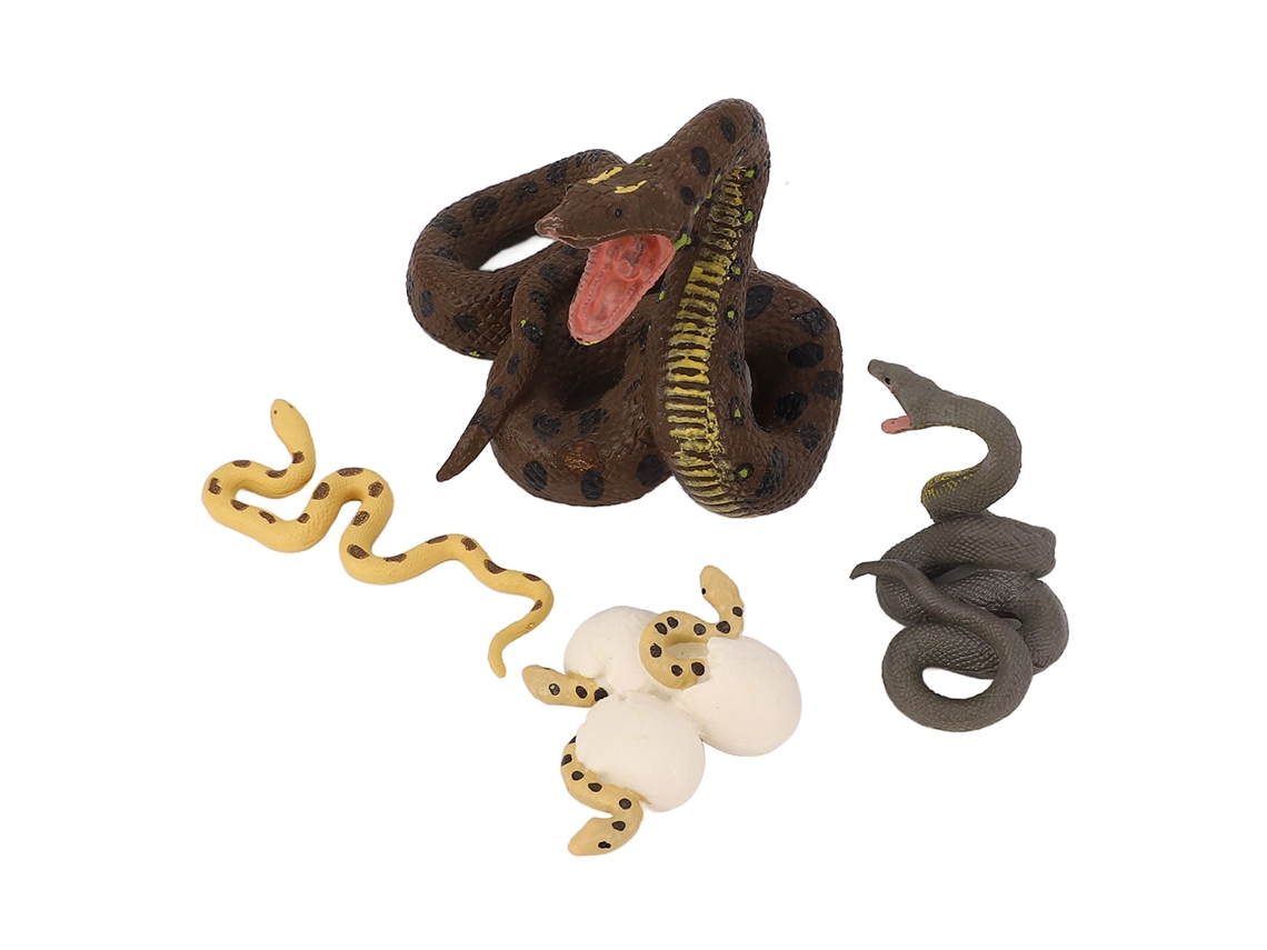 4 Piezas De Modelos Realistas De Pvc Del Ciclo De Crecimiento De Una Serpiente - Juguetes Educativos Para Niños
