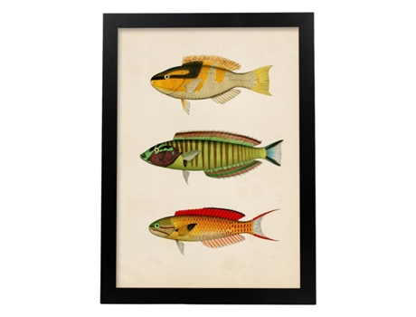 Lámina De Tres Peces Amarillo, Negro, Verde, Rojo, Azul Y Naranja En , Fondo Papel Vintage. Sin Marco