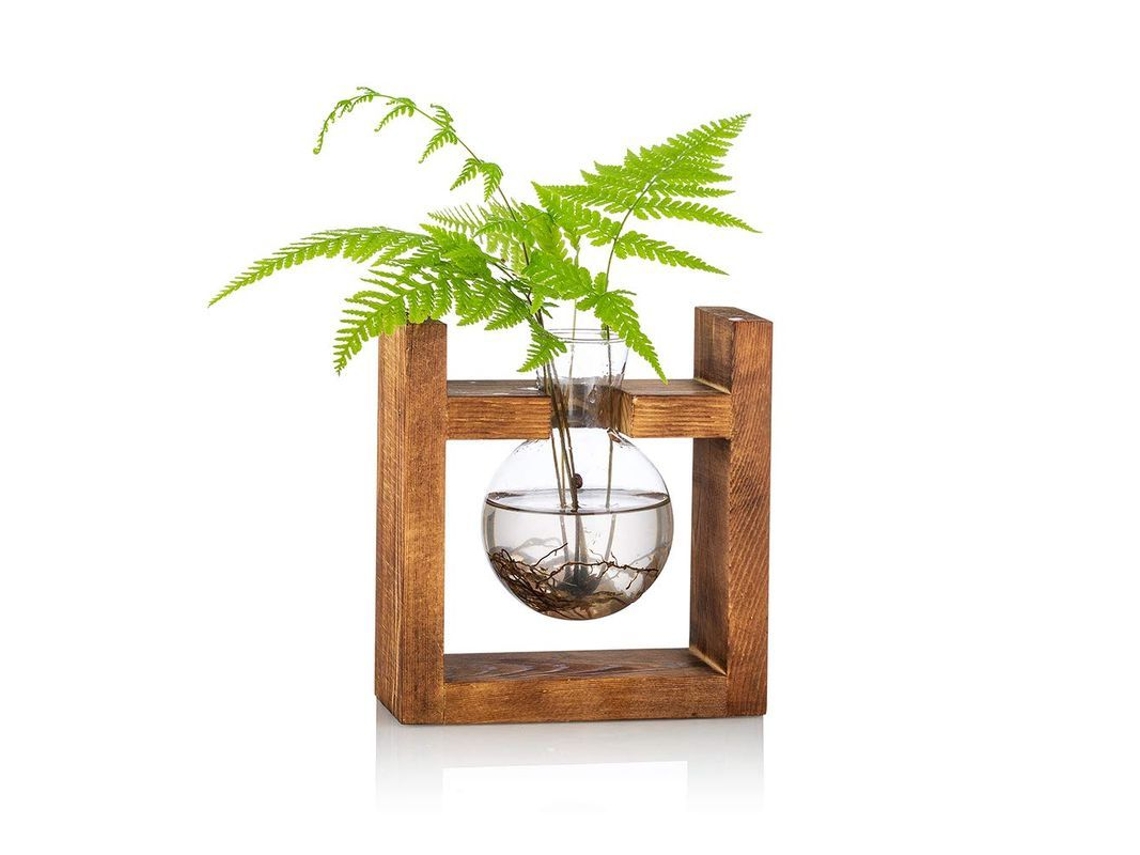 2026-vasija De Vidrio Con Base De Madera Para Plantas Y Flores Propagación Mini Terrario