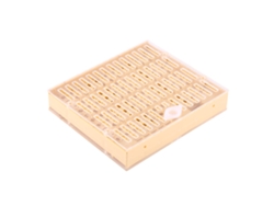 Caja De Cría De Reinas Para Equipos, Herramientas Y Suministros De Apicultura