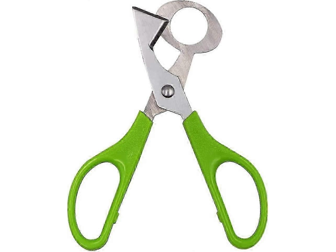 Tijeras para cáscaras de huevos de codorniz Rosewell, herramienta de corte de acero inoxidable para huevos de codorniz y otros huevos.