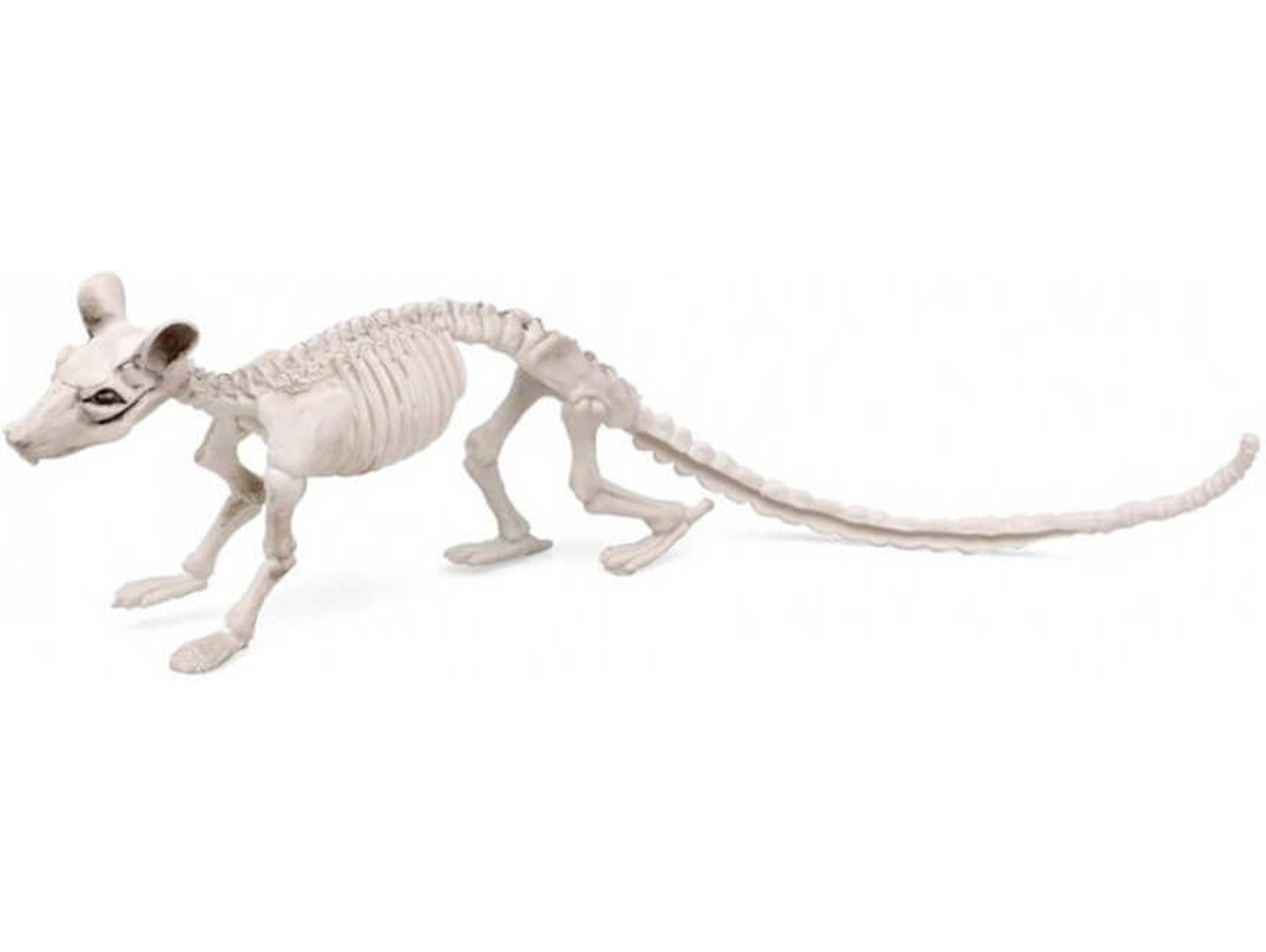 Figura DISFRAZZES Esqueleto Rata (34 x 10 cm)