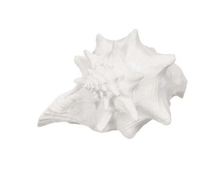 Figura Decorativa Blanco Caracola 21 x 19 x 13 cm