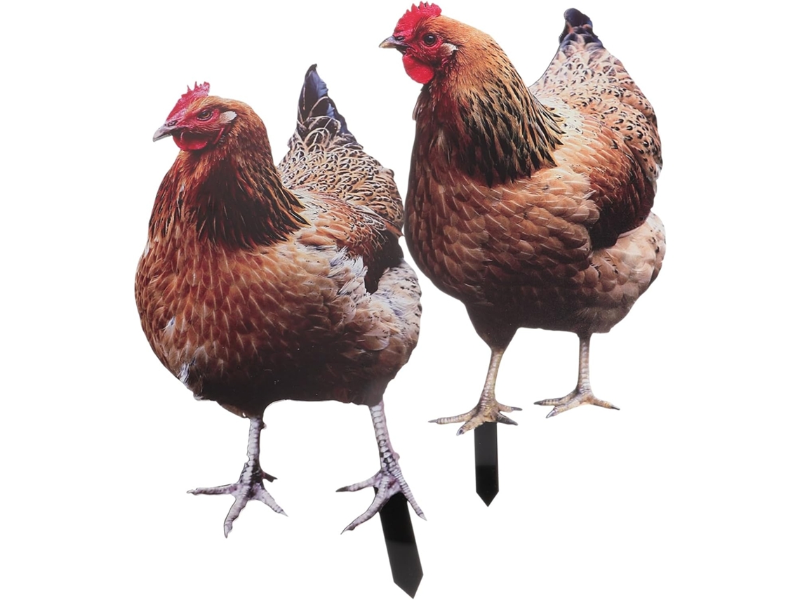 Letrero de doble cara para jardín de gallinas, decoración exterior, acrílico duradero, diseño plano para patio y jardín, Vayotoy