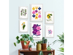 NACNIC Set De 6 Posters Florales Escala Cromática Láminas De Naturaleza Y Botánica Para  Tamaños A3 & A4 Marcos Negros