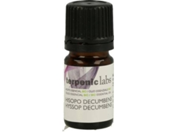 Aceite Essencial TERPENIC Hissopo Decumbens Bio (5 ml de óleo essencial)