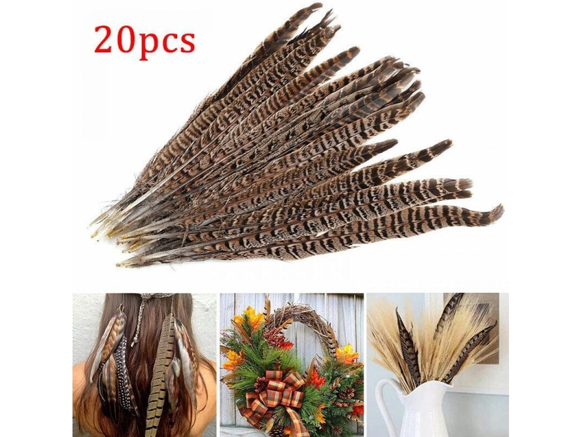2026-20 Plumas Cola Faisán Natural 25-30cm Para Manualidades Disfraces Bodas Festivales