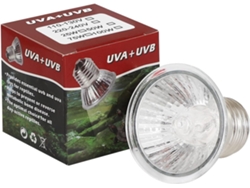 NEVEANCE Bombilla LED calefactora UVA/UVB, lámparas de calor para terrarios con reflector convexo para una mejor transmisión de luz, lámpara de calor de espect