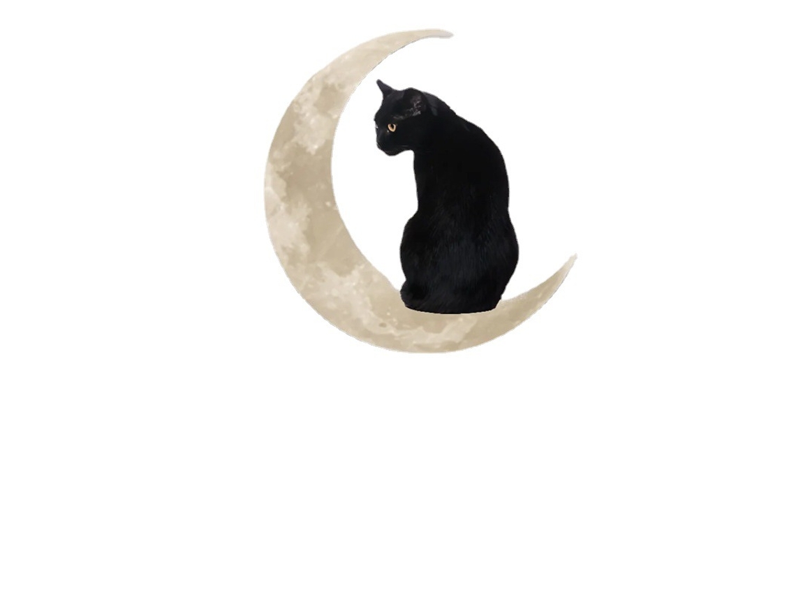 Adorno Colgante - Gato Lunar De 30 X 30 Cm