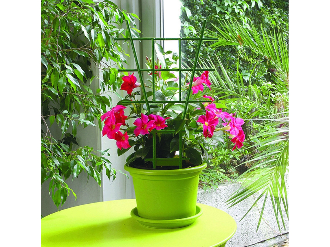 Maca Tutor Schelle 37 Cm Verde Nortene