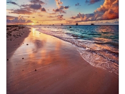 Cabecero de Cama OEDIM Puesta de Sol en la Playa (Multicolor - 135x60cm - Panal de Abeja)