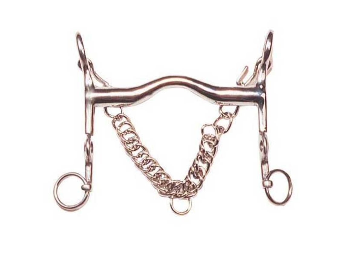 Porta Fixa e Corrente em Aço Inoxidável Mordeu Polo Dourado 13.5 Cmmarjoman Distribucion