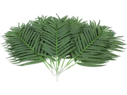 Planta Artificial EUROPALMS Coconut Palm Branch (Verde - 80 cm)