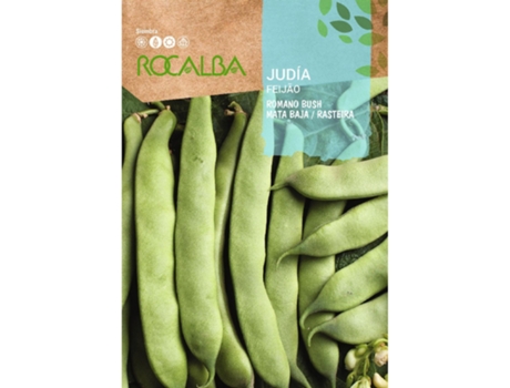 ROCALBA Judeu Roman Bush 50G Pacote 5 Envelopes