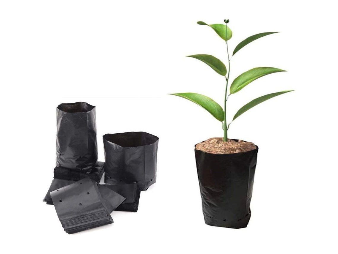 100 Bolsas De Plástico Grueso Para Plántulas Con Orificios Transpirables De 10x20 Cm Para Jardín Y Plantación.