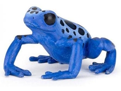 Figura PAPO Sapo Azul Equatorial