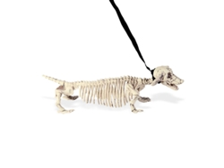 Accesorio WIDMANN Esqueleto Dachshund con Trela 55 Cm