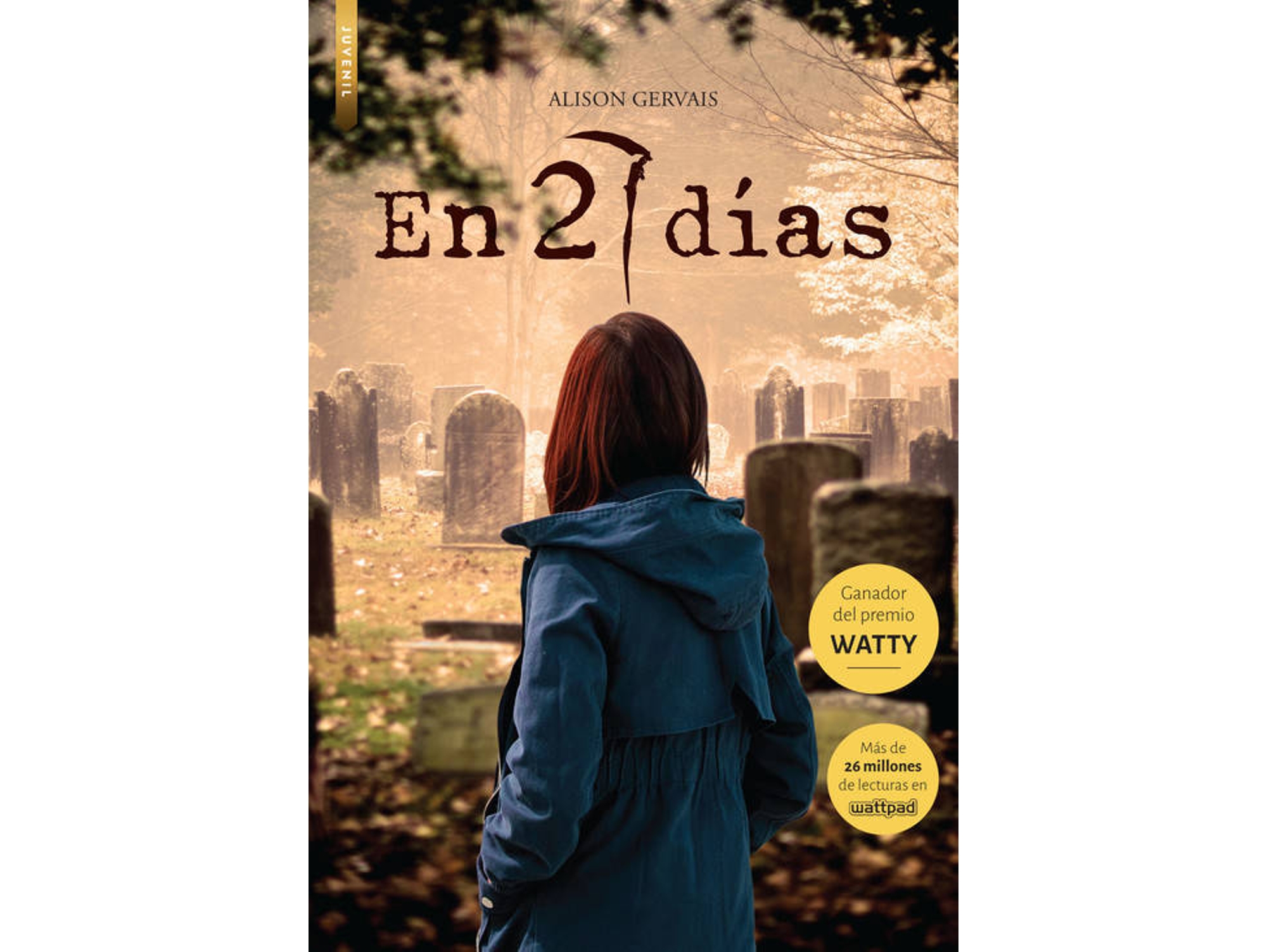 Libro En 27 Días de Alison Gervais (Español)