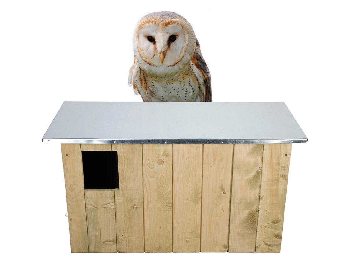 Jogo de Mesa ESSCHERT DESIGN Barn Owl Box (3 Anos)