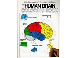 Libro Human Brain Coloring Book de Marian C Diamond e Arnold B Scheibel (Inglés)