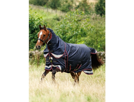 Manta de exterior para caballos LEMIEUX Kudos Thermo Layer 300g
