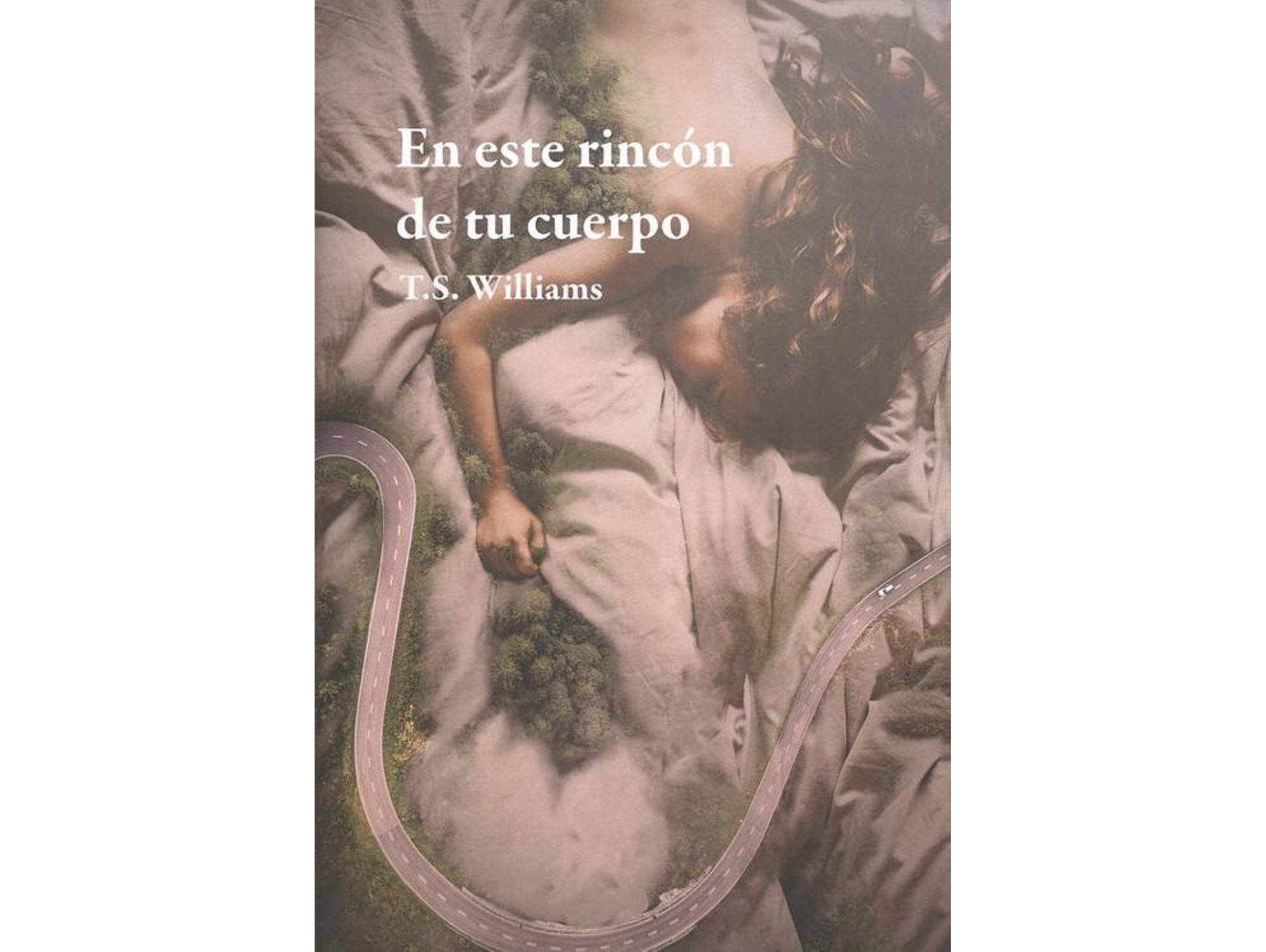 Libro En Este Rincón De Tu Cuerpo de T.S Williams (Español)