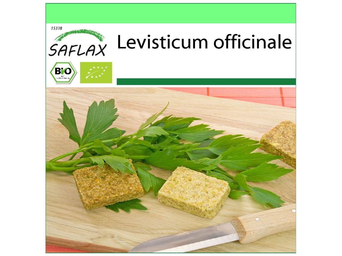 SAFLAX Garden to go Ecológico Apio de monte o levístico 100 semillas Con maceta, tapa climática y sustrato de cultivo Levisticum officinale