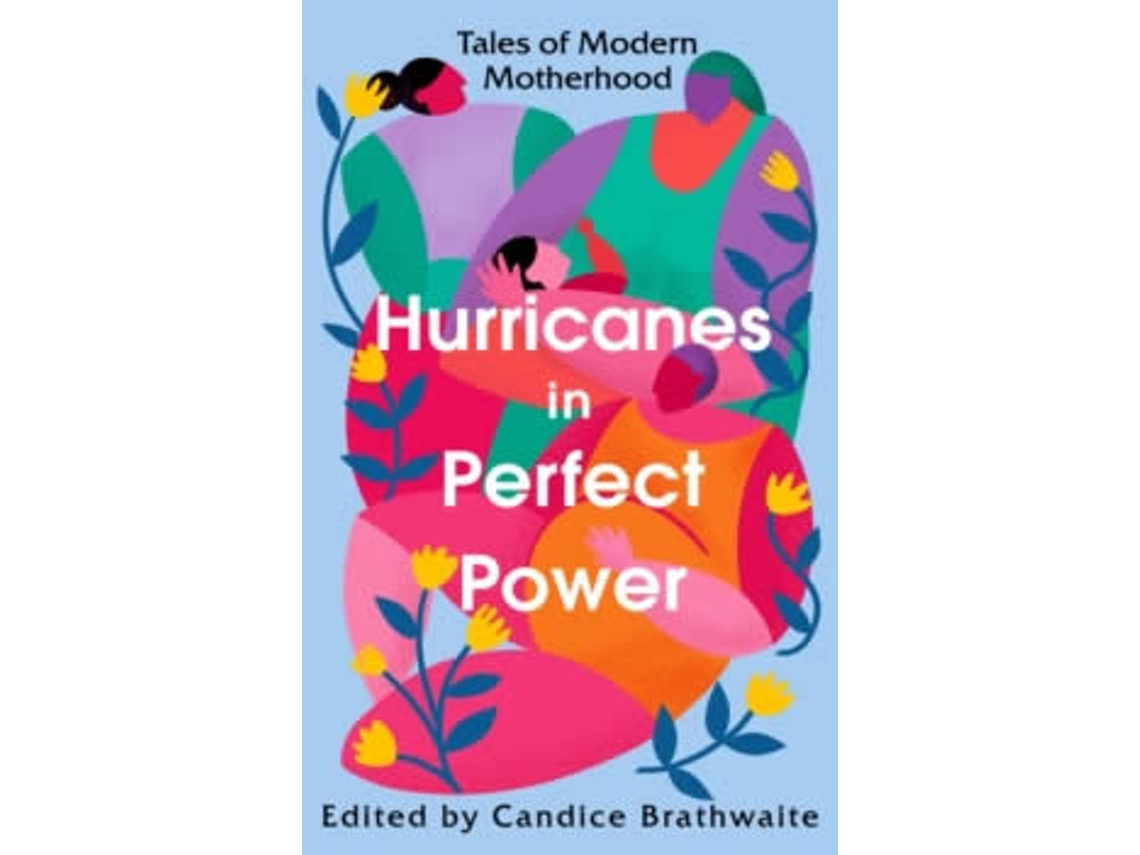 Libro Hurricanes In Perfect Power de Vários (Inglés)