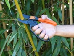 Tijera de Catraca Primus para Jardín con Sistema de Bloqueo con Una Mano GARTEN PRIMUS