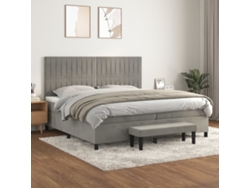 Cama Box Spring Con Colchón Terciopelo Gris Claro 200x200 Cm