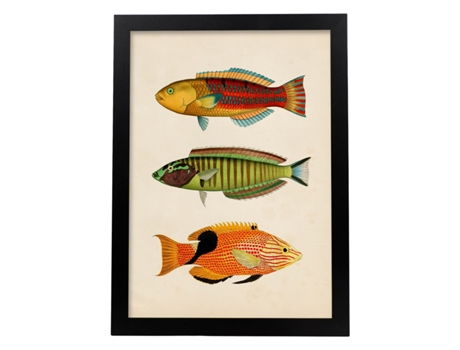 Lámina De Tres Peces Amarillo, Rojo, Azul Verde, Marron, Naranja Y Negro En , Fondo Papel Vintage. Sin Marco