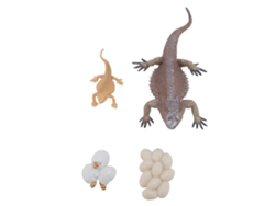 Juguete sobre el ciclo de vida de un lagarto, figura educativa interactiva, animal reptil simulado para el hogar y la escuela.