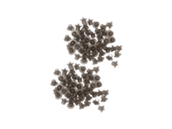 100 recipientes de plástico para cría de abeja reina, 19x19x16 mm, sin marca.