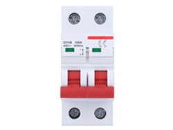 Disyuntor Miniatura De 2 Polos Y 100 A Para Protección De Campo Industrial/comercial 230 V/400 V
