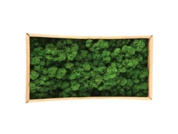 Musgo Natural Preservado, Decorativo, Duradero, 500 G, Para Decoración Del Hogar Y Maquetas.
