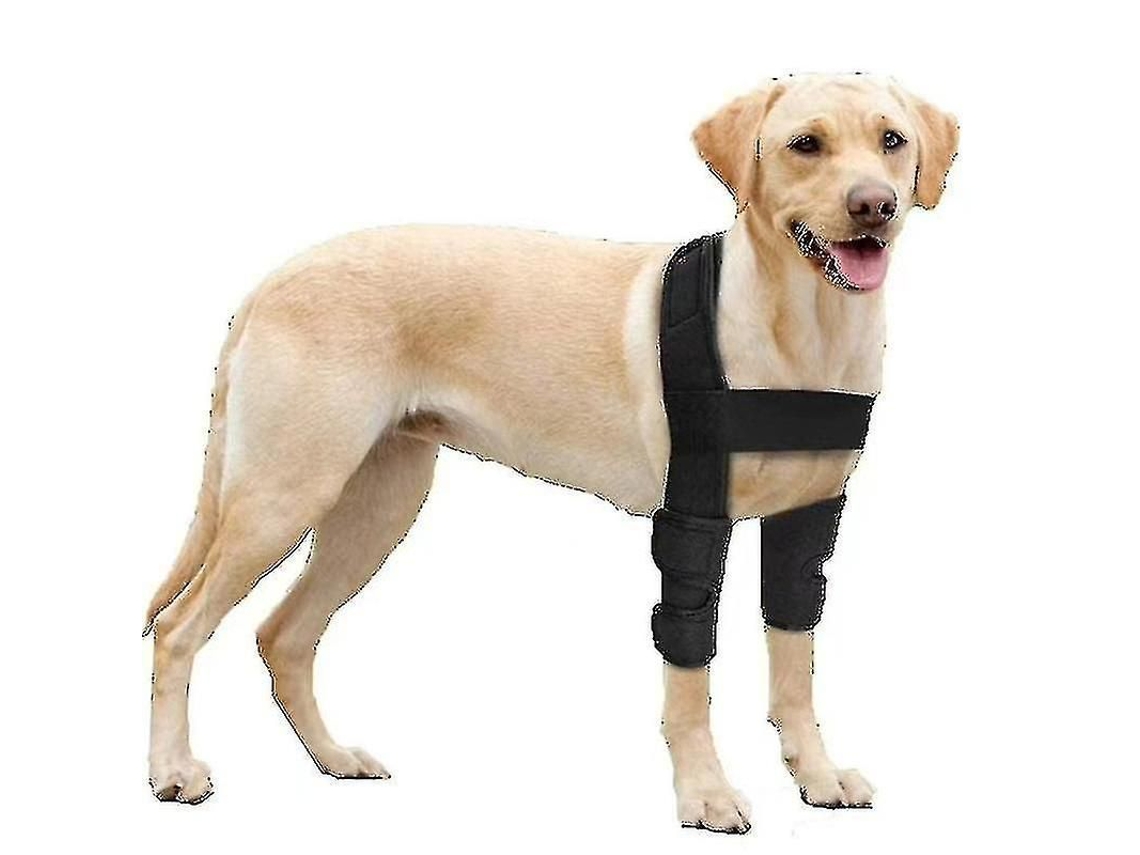 2026-protector De Codo Respirable Para Perros Con Soporte Para Hombros, Ideal Para Higrama, Displasia Y Osteoartritis