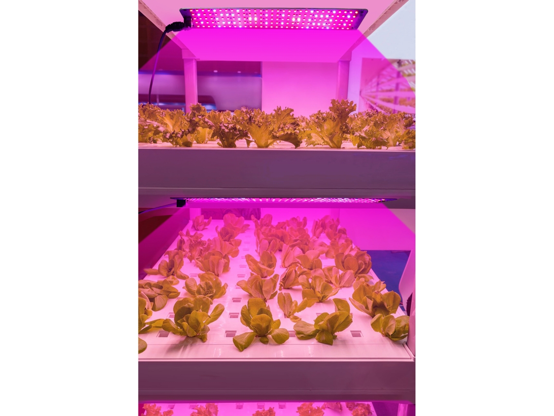 Bj-painel De Luz Led De Espectro Completo Para Crescimento Vegetal Com Temporizador 24h E 6 Níveis De Intensidade
