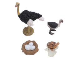 Mali figura Ciclo de Vida do Avestruz Pvc Realista Brinquedo Educativo para Crianças